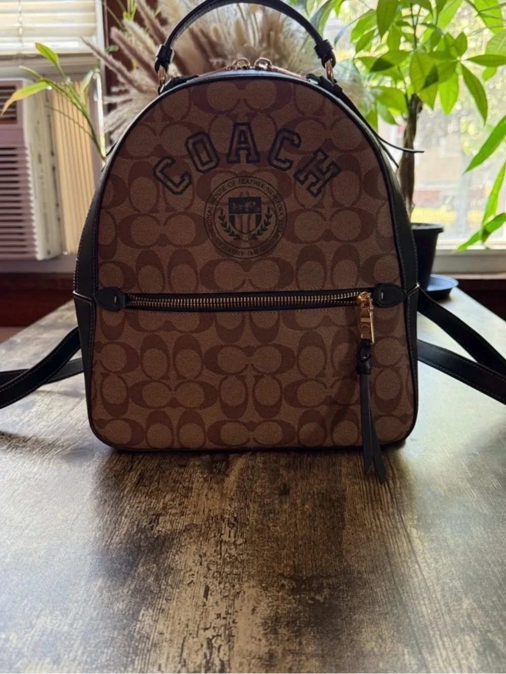 Coach Brown Logo Signature Mini Backpack with Dark Green Trim